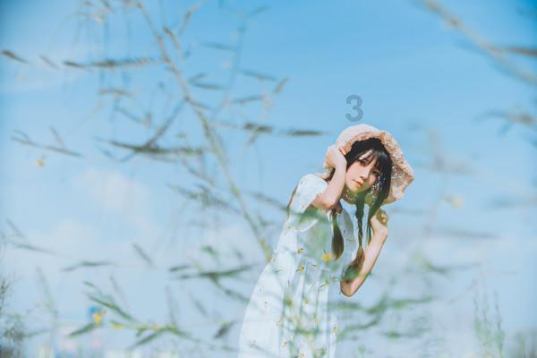 细胞分裂4