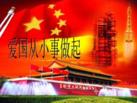 吃金币的猫